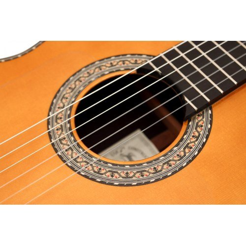 Flamenco Profesional Negra