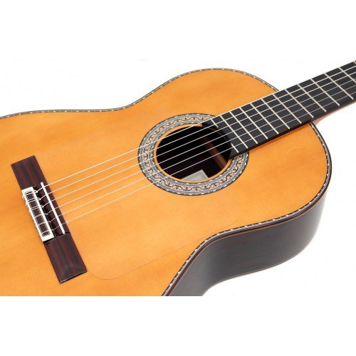 Flamenco Profesional Negra