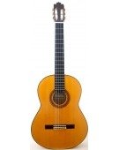 Flamenco Blanca