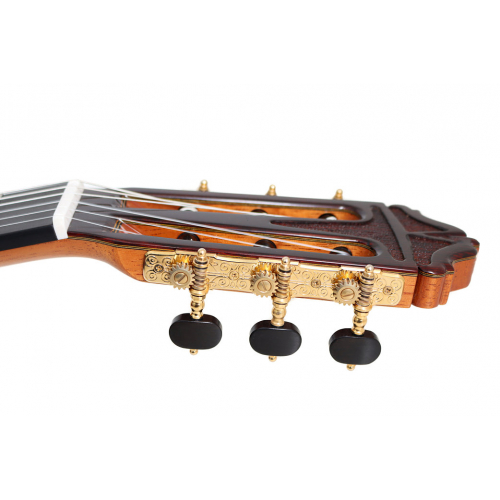 Anniversary cedar 2026