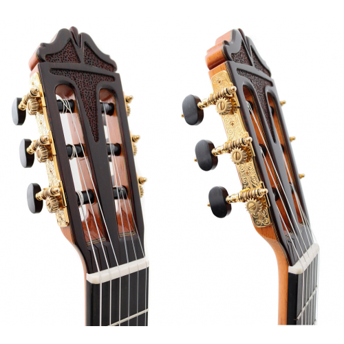 Anniversary cedar 2026