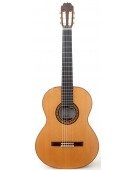 Luthier Aniversario