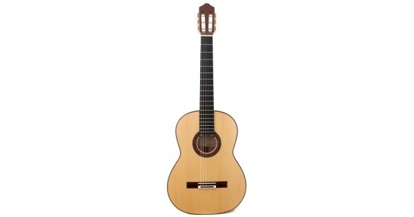flamenco-guitar-sergio-