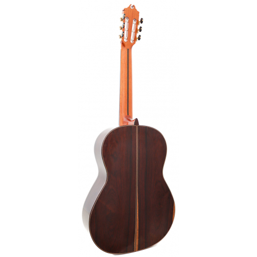 Concierto Negra 2026