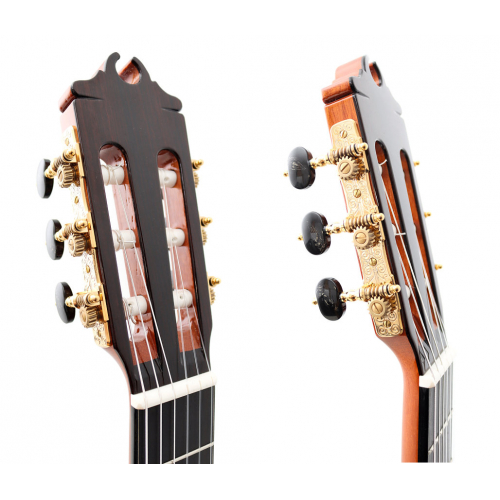 Concierto Negra 2026