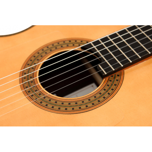 Concierto Negra 2026