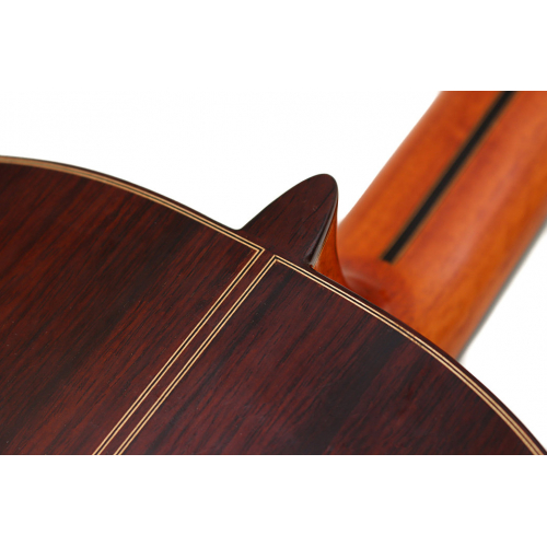 Concierto Negra 2026