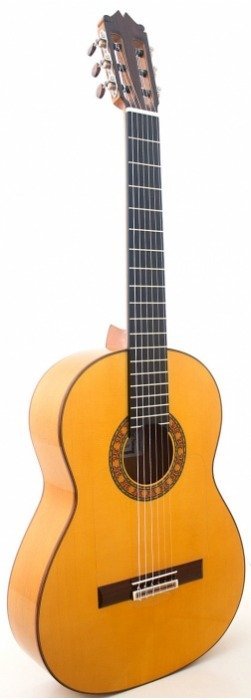 Jesús de Jiménez - Flamenco Blanca