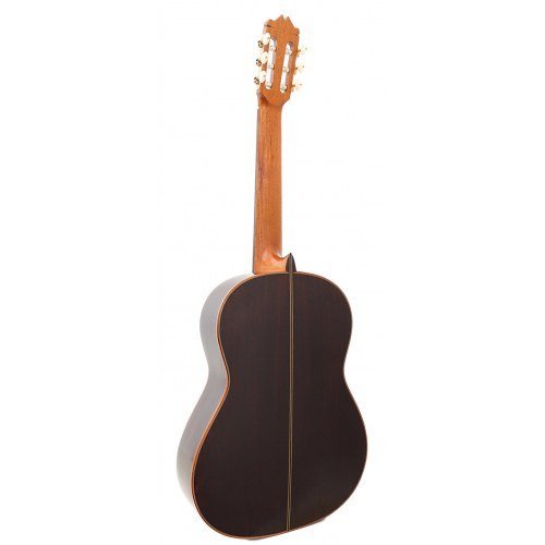 Flamenco Negra 2024