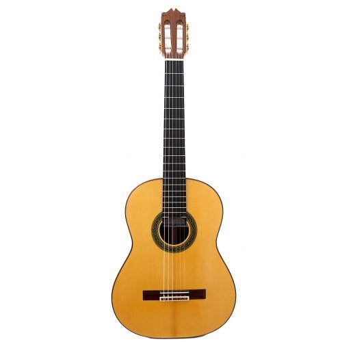 Flamenco Negra 2024