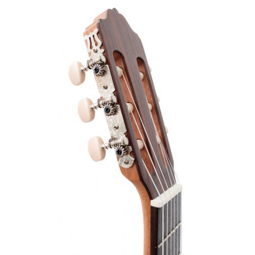 3Z cedar