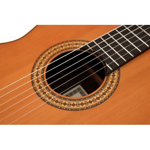 3Z cedar