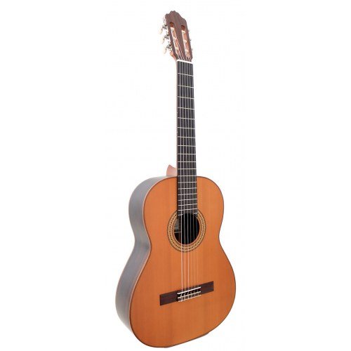 3Z cedar
