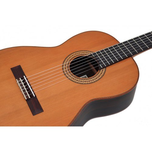 3Z cedar