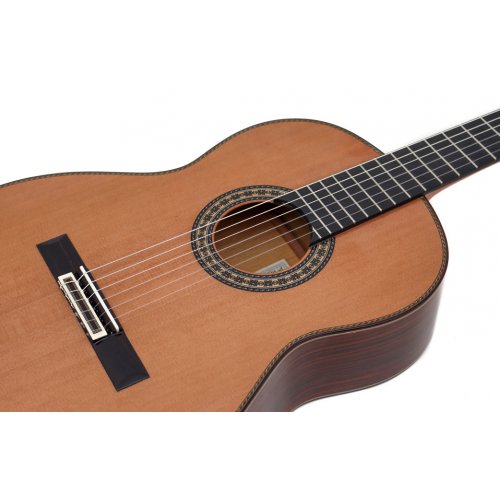 Juan Hernandez Maestro cedar
