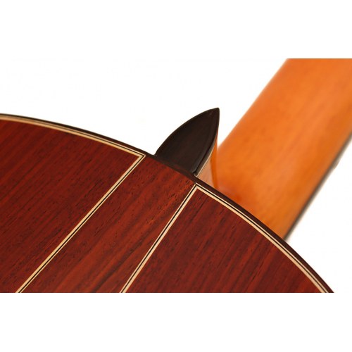 MAESTRO - cedar
