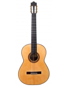 Concierto - Abeto 2026