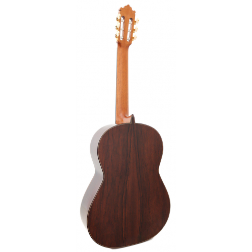 CONCIERTO - spruce 2026