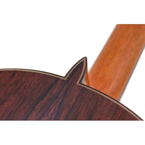 CONCIERTO - spruce 2026