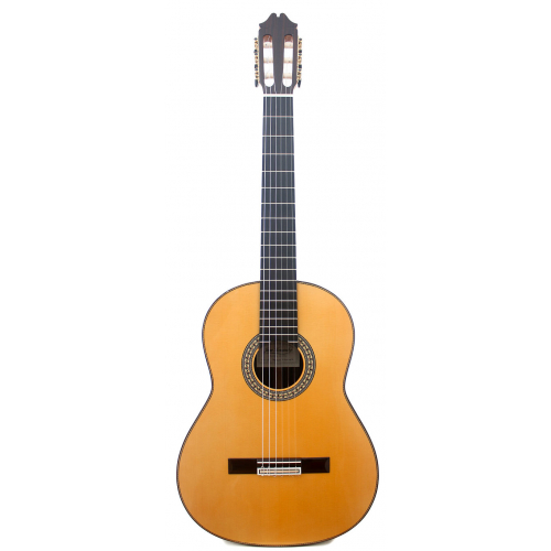 Flamenco Profesor Negra