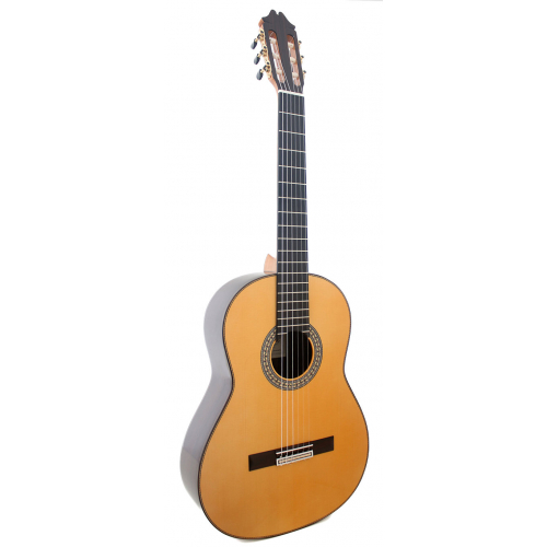 Flamenco Profesor Negra