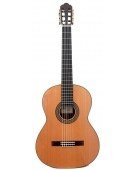 Modelo 53 Cedro