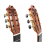 Juan Hernandez - Model Luthier - Lattice Spruce 2025