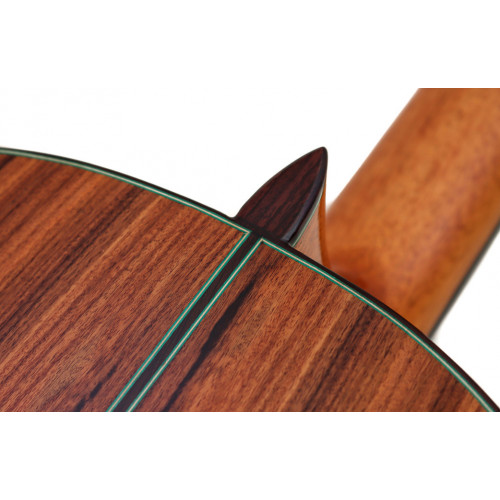 LUTHIER - lattice abeto 2026