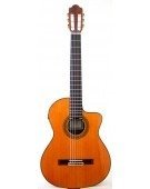 7Ce Cedar
