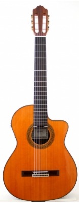 Guitar Esteve 7Ce Cedar