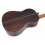 Jose Marin Plazuelo Concert Spruce - 2025