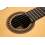 Jose Marin Plazuelo Concert Spruce - 2025