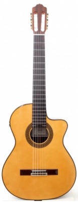 Guitar Esteve 7Ce Spruce
