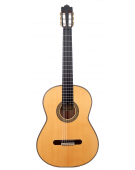 Coleccion N10 Maple 2025