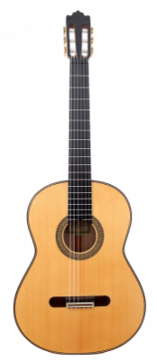 Paulino Bernabe Coleccion N10 - Maple