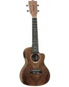 Twt21E With Preamp System