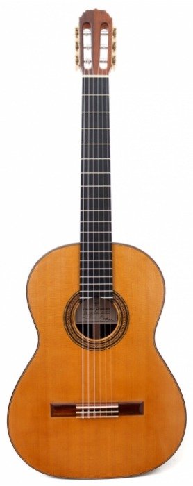 Vladimir Druzhinin - cedar - 2021