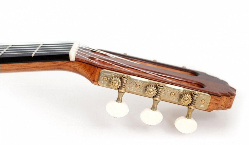 Vladimir Druzhinin - cedar - 2021