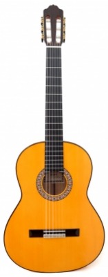 Flamenco Guitar Esteve - 6F
