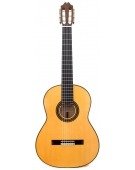 Sonata Flamenco