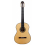 Paulino Bernabe Modelo Especial - Abeto 2025