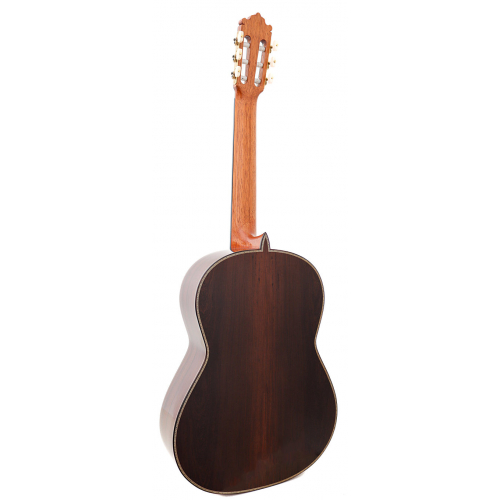 ESPECIAL - Abeto 2025