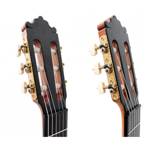 ESPECIAL - Abeto 2025