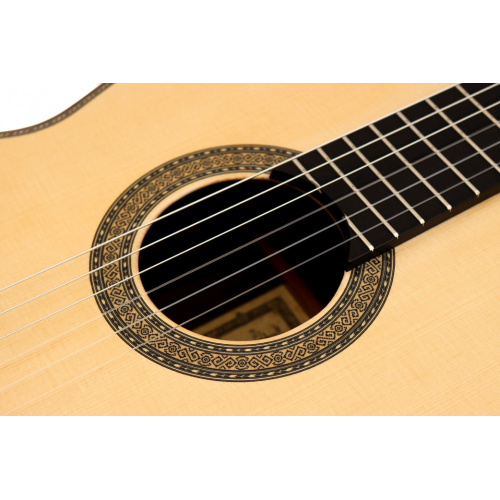 ESPECIAL - Abeto 2025