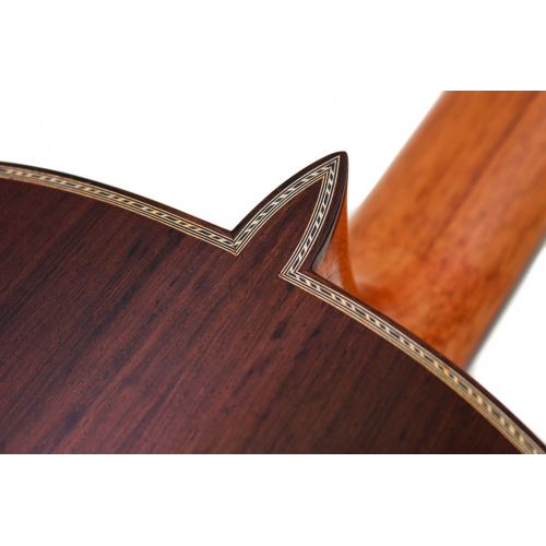 ESPECIAL - Abeto 2025