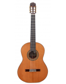 Conservatorio 640 Cedar