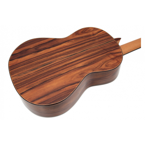 Conservatorio 640 cedar