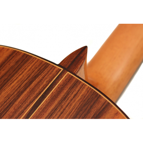 Conservatorio 640 cedar