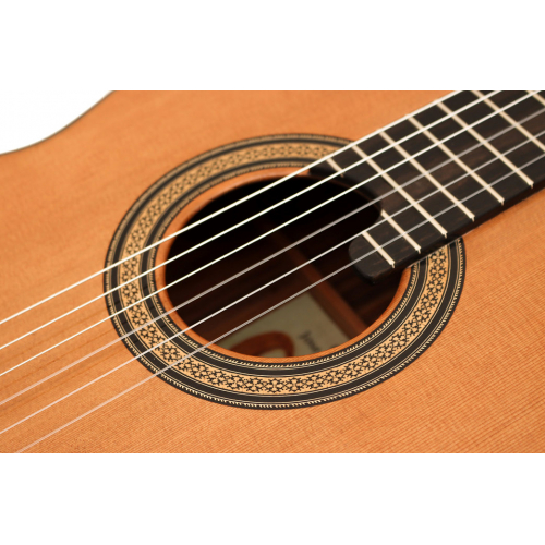 Conservatorio 640 cedar