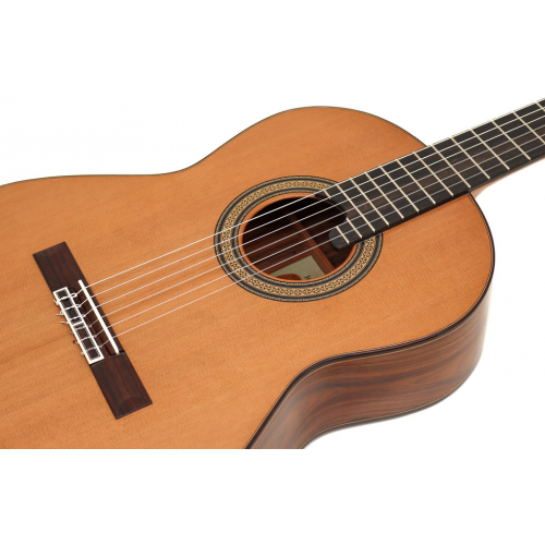 Conservatorio 640 cedar